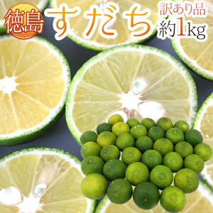 Y hh 󂠂 1kg 傫܂