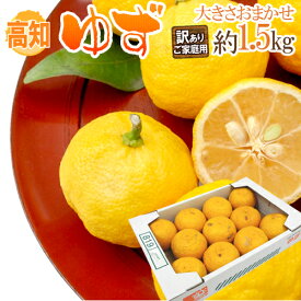 楽天市場 ゆず みかん フルーツ 果物 食品の通販