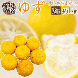 h䂸h 󂠂 1kg 傫܂ YnIy\ 11{ȍ~z