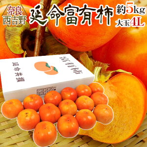 ޗǎY hxL`h Gi 4L 15 5kgy\ 11ȍ~z 