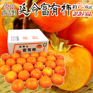 奈良産 ”延命富有柿” 訳あり 約7.5kg 大きさおまかせ【予約 11月以降】 送料無料