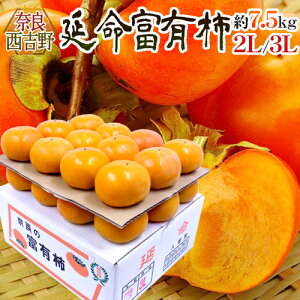 ޗǎY hxL`h Gi 2L`3L 24`28 7.5kgy\ 11ȍ~z 