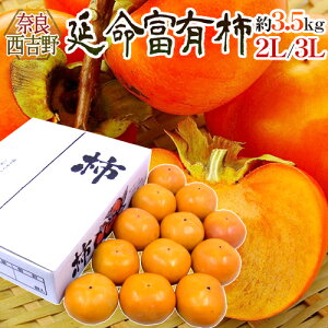 hޗǎY xL`h Gi 2L`3L 12`14 3.5kgy\ 11ȍ~z 