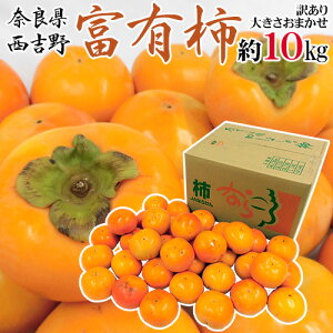 奈良県西吉野産 ”富有柿” 訳あり 大きさおまかせ 約10kg【予約 11月以降】 送料無料