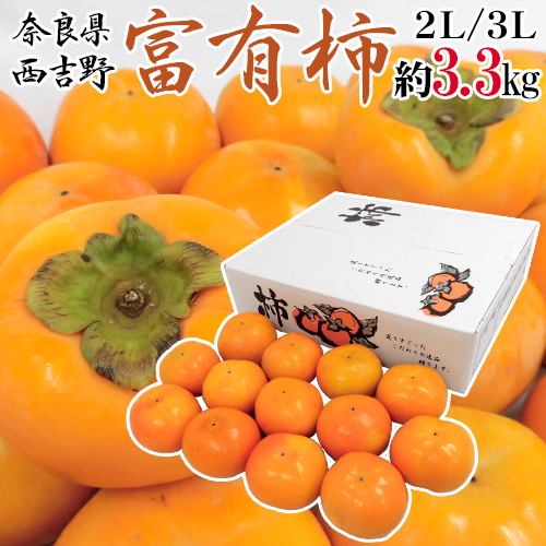 奈良県西吉野産 ”富有柿” 秀品 2L〜3L 約3.3kg 送料無料