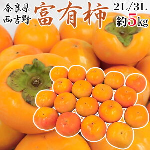 y9/25ISz|CgobN̑`XzhޗǌgY xL`h Gi 2L`3L 5kgy\ 11ȍ~z 