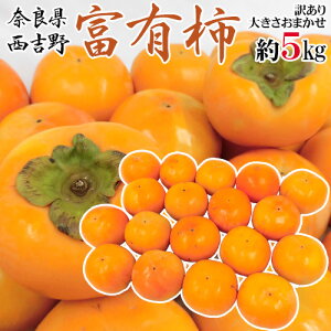 y9/25ISz|CgobN̑`XzhޗǌgY xL`h 󂠂 傫܂ 5kgy\ 11ȍ~z 