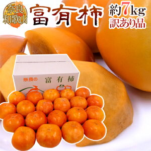 a̎REޗǎY hxL`h 󂠂 7kg 傫܂y\ 11ȍ~z 