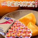 福岡産 ”富有柿” 訳あり 約5kg 大きさおまかせ【予約 12月以降】 送料無料