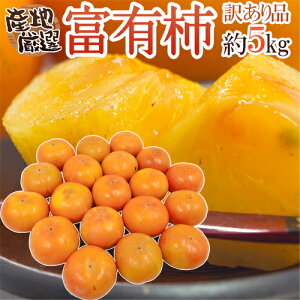 hxL`h 󂠂 5kg 傫܂ YnIy\ 11ȍ~z 