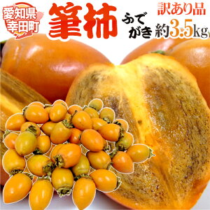 hm Kc M`h 󂠂 3.5kg ӂŊ`y\ 10ȍ~z 