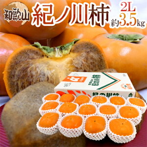 y9/18ISz|CgobN̑`Xza̎RY hIm`h Gi 15ʑO 3.5kg ϔy\ 10{ȍ~z 