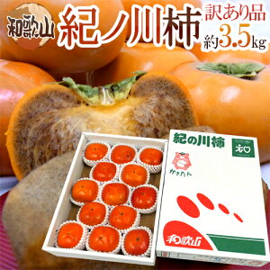 a̎RY hIm`h 󂠂 3.5kg 傫܂y\ 10{ȍ~z 