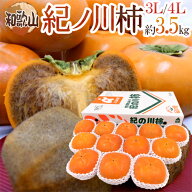 和歌山産 ”紀ノ川柿” 秀品 12〜13玉入 約3.5kg 大玉限定 化粧箱【予約 10月中旬以降】 送料無料