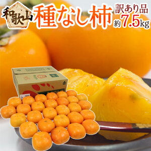 y9/20ISz|CgobN̑`Xza̎RY h˂Ȃ`h 󂠂 7.5kg 傫܂y\ 9ȍ~z 