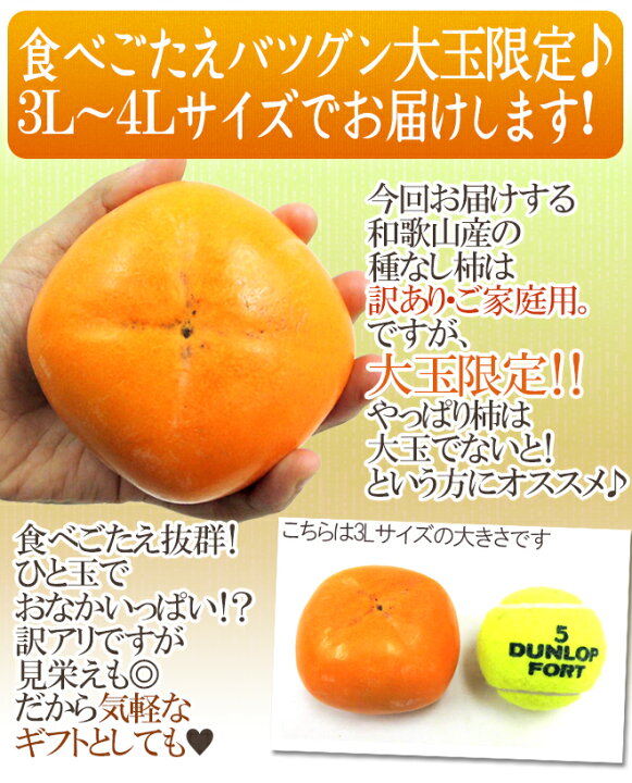 楽天市場】和歌山産 ”たねなし柿” 訳あり 3L〜4Lサイズ 12〜14玉 約3.5kg【予約 10月以降】 送料無料 : くらし快援隊〜お中元お歳暮ギフト 楽天市場】和歌山産 ”たねなし柿” 訳あり 3L〜4Lサイズ 12〜14玉 約3.5kg【予約 10月以降】 送料無料 : くらし快援隊〜お中元お歳暮ギフト