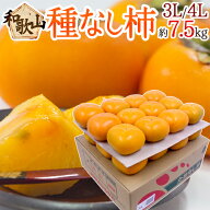 和歌山産 ”たねなし柿” 秀品 3L〜4Lサイズ 24〜28玉 約7.5kg【予約 10月以降】 送料無料