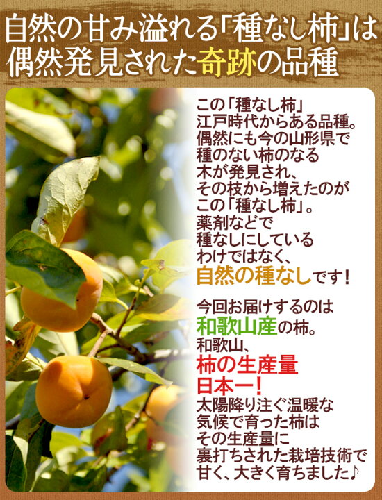 楽天市場】和歌山産 ”たねなし柿” 訳あり 3L〜4Lサイズ 24〜28玉 約7.5kg【予約 10月以降】 送料無料 : くらし快援隊〜お中元お歳暮ギフト 楽天市場】和歌山産 ”たねなし柿” 訳あり 3L〜4Lサイズ 24〜28玉 約7.5kg【予約 10月以降】 送料無料 : くらし快援隊〜お中元お歳暮ギフト
