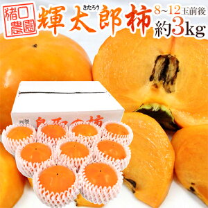 挧 _ hPY`h Gi 8`12ʑO 3kgy\ 10{ȍ~z 
