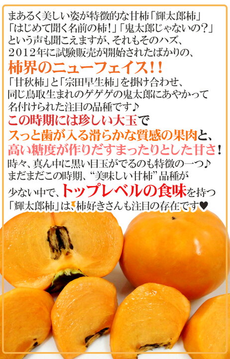 楽天市場】鳥取県 猪口農園 ”輝太郎柿” 秀品 8〜12玉前後 約3kg【予約 10月下旬以降】 送料無料 : くらし快援隊〜お中元お歳暮ギフト 楽天市場】鳥取県 猪口農園 ”輝太郎柿” 秀品 8〜12玉前後 約3kg【予約 10月下旬以降】 送料無料 : くらし快援隊〜お中元お歳暮ギフト