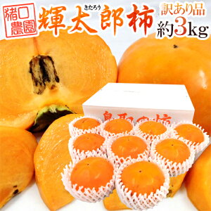 挧 _ hPY`h 󂠂 8`12ʑO 3kgy\ 10{ȍ~z 