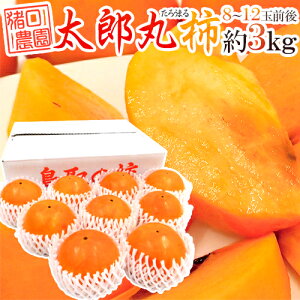 挧 _ hYۊ`h Gi 8`12ʑO 3kgy\ 10{ȍ~z 