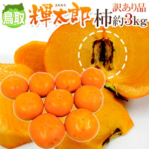 ”鳥取産 輝太郎柿” 訳あり 約3kg 大きさおまかせ【予約 10月以降】 送料無料