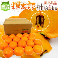 鳥取産 ”輝太郎柿” 訳あり 約6kg 大きさおまかせ【予約 10月以降】 送料無料