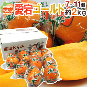 hQ S[hh Gi L`3L 7`11 2kg `y\ 12{ȍ~z 