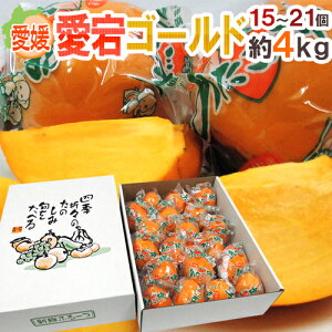 hQ S[hh Gi L`3L 15`21 4kg `y\ 12{ȍ~z 