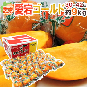 Q hS[hh Gi L`3L 30`42 9kg `y\ 12{ȍ~z 