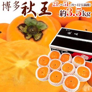  hHh Gi 2L`5L 8`12ʑO 3.5kg H`y\ 11ȍ~z 