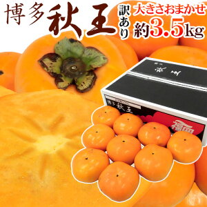 福岡県 ”博多秋王” 訳あり 大きさおまかせ 約3.5kg 秋王柿【予約 11月以降】 送料無料