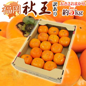  hHh 󂠂 傫܂ 5kg H`y\ ׎攭z 