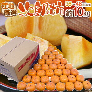 hY`h Gi 36`48ʑO 10kg YnIy\ 10{ȍ~z 