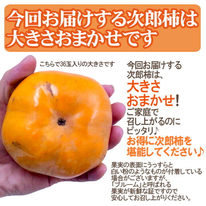 楽天市場】”次郎柿” 訳あり 32〜56玉前後 約10kg 産地厳選【予約 10月下旬以降】 送料無料 : くらし快援隊〜お中元お歳暮ギフト 楽天市場】”次郎柿” 訳あり 32〜56玉前後 約10kg 産地厳選【予約 10月下旬以降】 送料無料 : くらし快援隊〜お中元お歳暮ギフト