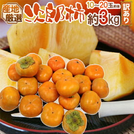 楽天市場 次郎柿の通販