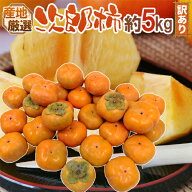 ”次郎柿” 訳あり 15〜30玉前後 約5kg 産地厳選【予約 10月下旬以降】 送料無料