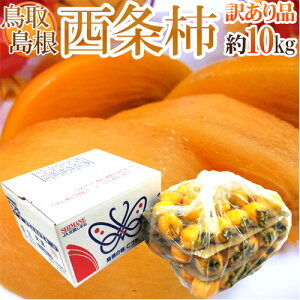 島根・鳥取産 ”西条柿” 訳あり 約10kg 大きさおまかせ【予約 10月下旬以降】 送料無料