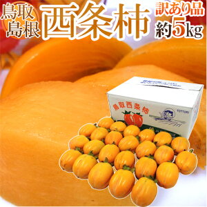 y9/25ISz|CgobN̑`XzEY h`h 󂠂 5kg 傫܂y\ 10{ȍ~z 
