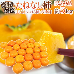h˂Ȃ`h 󂠂 5kg 傫܂ YnI 햳`/`/`y\ 10ȍ~z 