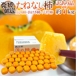 h˂Ȃ`h 󂠂 7kg 傫܂ YnI 햳`/`/`y\ 10ȍ~z 