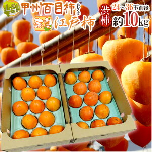 `E݂邵`p ha`h R bBSڊ`  ޗǌg ]ˊ` 24`36ʑO 10kgy\ 11ȍ~z 