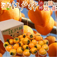 奈良県西吉野 干し柿・吊るし柿用 ”渋柿 江戸柿” 大玉2L〜4L 約10kg【予約 11月以降】 送料無料