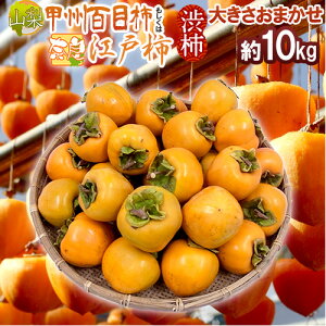 `E݂邵`p ha`h R bBSڊ`  ޗǌg ]ˊ` 10kg 傫܂y\ 11ȍ~z 