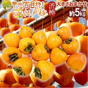 `E݂邵`p ha`h R bBSڊ`  ޗǌg ]ˊ` 5kg 傫܂y\ 11ȍ~z 