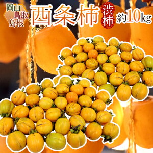 EERY `E݂邵`p h` a`h 10kg 傫܂y\ 10{ȍ~z 