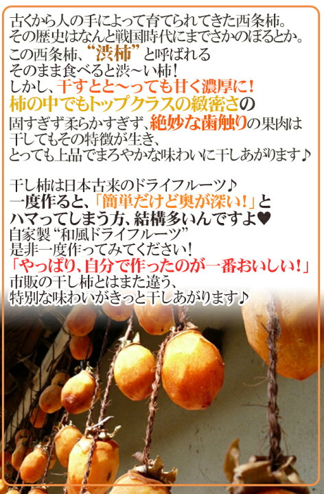 楽天市場】島根・鳥取・岡山産 干し柿・吊るし柿用 ”西条柿 渋柿” 約10kg 大きさおまかせ【予約 10月下旬以降】 送料無料 : くらし快援隊〜お中元お歳暮ギフト 楽天市場】島根・鳥取・岡山産 干し柿・吊るし柿用 ”西条柿 渋柿” 約10kg 大きさおまかせ【予約 10月下旬以降】 送料無料 : くらし快援隊〜お中元お歳暮ギフト