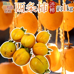 EERY `E݂邵`p h` a`h 1kg 傫܂y\ 10{ȍ~z