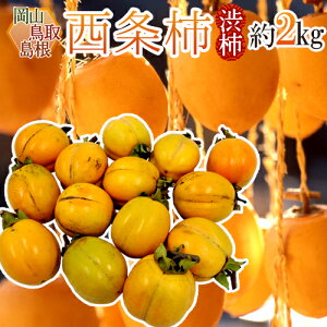 EERY `E݂邵`p h` a`h 2kg 傫܂y\ 10{ȍ~z 